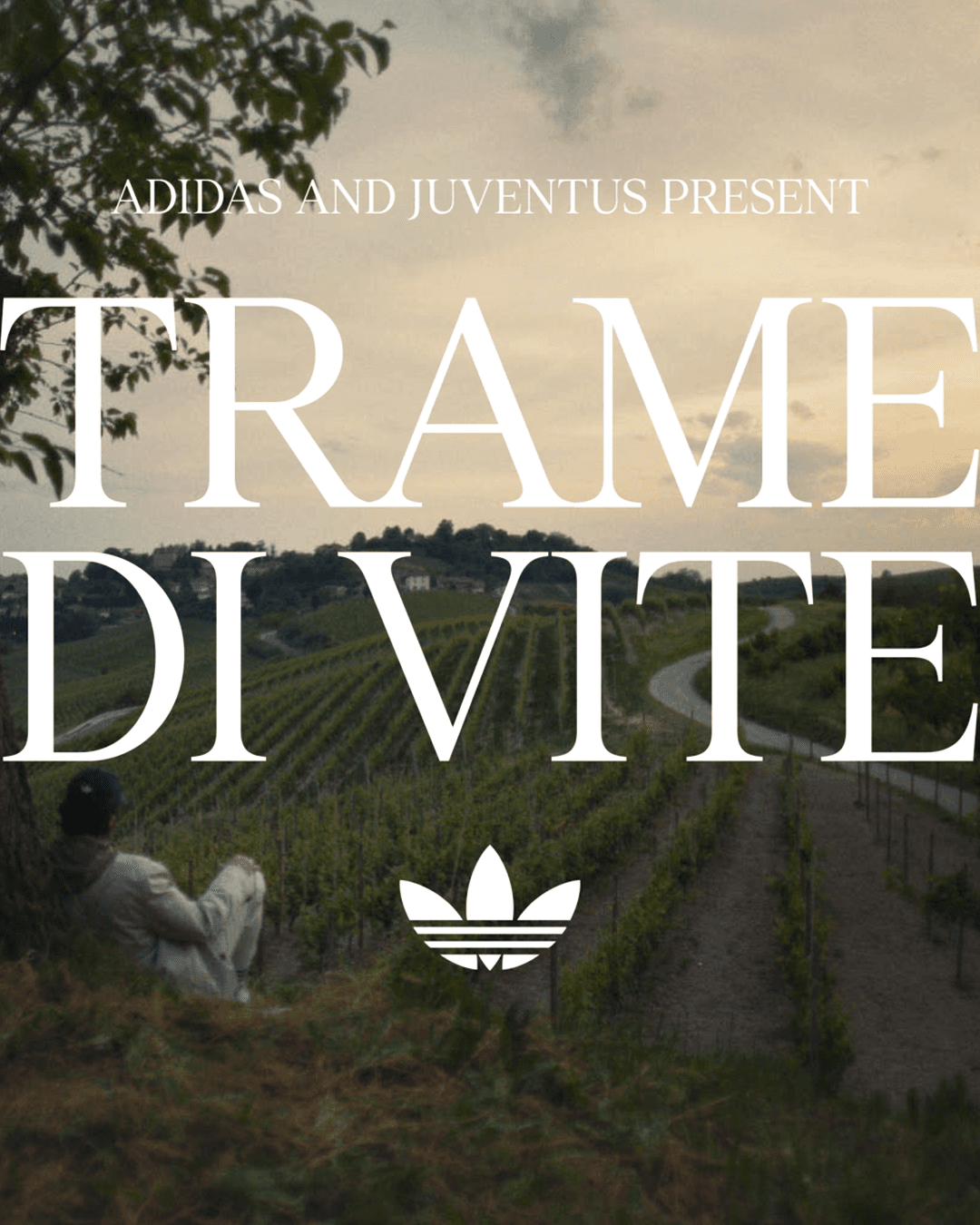 Trame di Vite